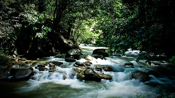 Kuala Lumpur Wellness Tour V2 (Privately Organized)
